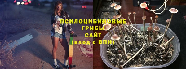СК Володарск