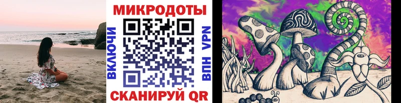 Галлюциногенные грибы MAGIC MUSHROOMS  Ессентукская 